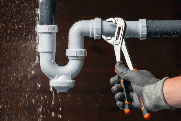 Professional Plumbing technician working in Trivoli, IL